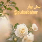 pulsebahar | Unsorted