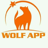 🐺wolf app🐺