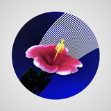 vaporwavedreams | Unsorted