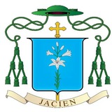 diocesidiacireale | Unsorted
