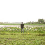 pouyanohadi | Unsorted