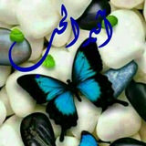 jaalwzeen | Unsorted