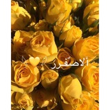 vip_yel | Unsorted