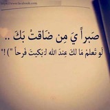 kalamfsameem | Unsorted