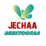 jechaabeektootaa | Unsorted