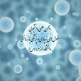 alzahrastemcell | Unsorted