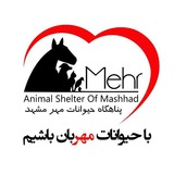 mehranimalshelter | Unsorted