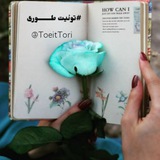 toeittori | Unsorted