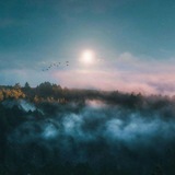 rw7r3d | Unsorted