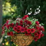 گل های زندگی