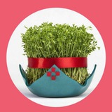 kazbelanka | Unsorted