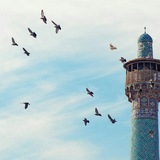faisal0sa7 | Unsorted
