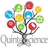 quintescience | Unsorted