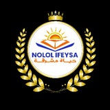 nololifeysa | Unsorted