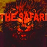 Safari Trading - Best Binary Option, Forex, Crypto Signals