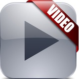 forexvideo | Неотсортированное