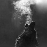 ragingsoul | Unsorted