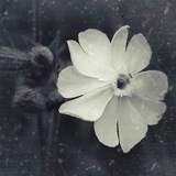 losts24 | Unsorted