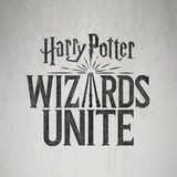 hpwizardsunitezaragoza | Unsorted