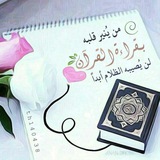 islamnwr | Unsorted