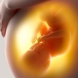 embarazo | Unsorted