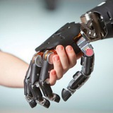 bioengineernews | Unsorted