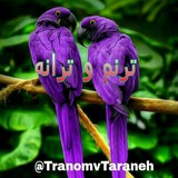 tranomvtaraneh | Unsorted