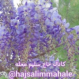 hajsalimmahale | Unsorted