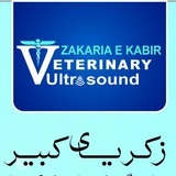 zakariaekabir_vet | Unsorted