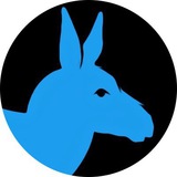 t_donkeys | Unsorted