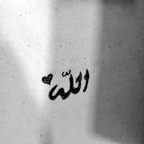 somaya_shaghaf | Unsorted