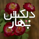 qaleno_kharaqan | Unsorted