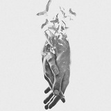 h_ams | Unsorted