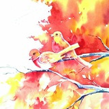 aasheghane_ha | Unsorted