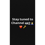 channel442 | Unsorted