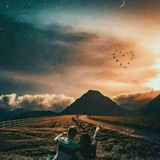 hurtstoryhnl | Unsorted