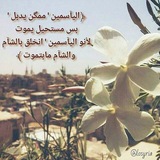 sham_alhwaa | Unsorted