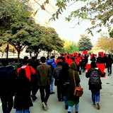 senfi_uni_iran | Unsorted