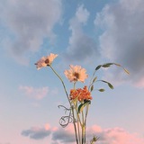 whenthecloudsrain | Unsorted