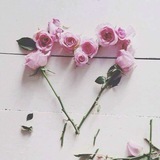 raoufelashry15 | Unsorted