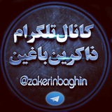 zakerinbaghin | Unsorted