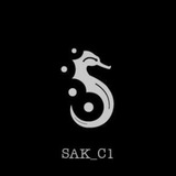 sak_c1 | Unsorted