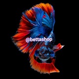 bettashop | Unsorted