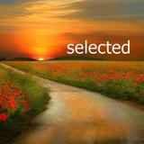 selected