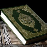 hareth_al_shamri2 | Неотсортированное
