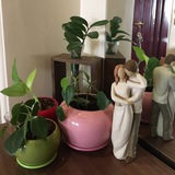 mrs_shin | Unsorted