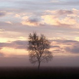 hessekhoub | Unsorted