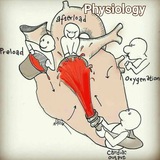 shkhlshh_physiology | Unsorted