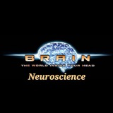 neuroscience_brain | Unsorted