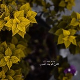 u7ooi | Unsorted